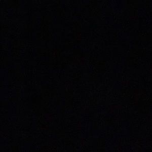 Meet your Posher, Niquee